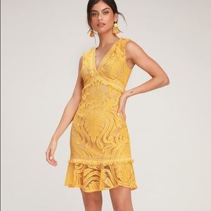 NWOT Lulu’s Michi Golden Yellow Lace Mini Dress
